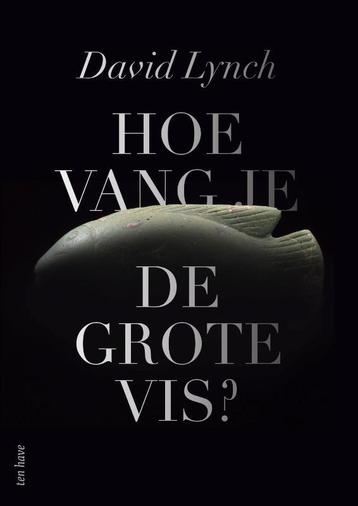 Hoe vang je de grote vis? 9789025907099 David Lynch, Verzenden, David Lynch