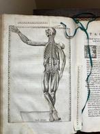 Bartolomeo Eustachius - Tabulae anatomicae... ac notis