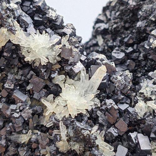 KUBIEKE GALENA en QUARTZ, Bulgarije, Honderden kristallen, Verzamelen, Mineralen en Fossielen
