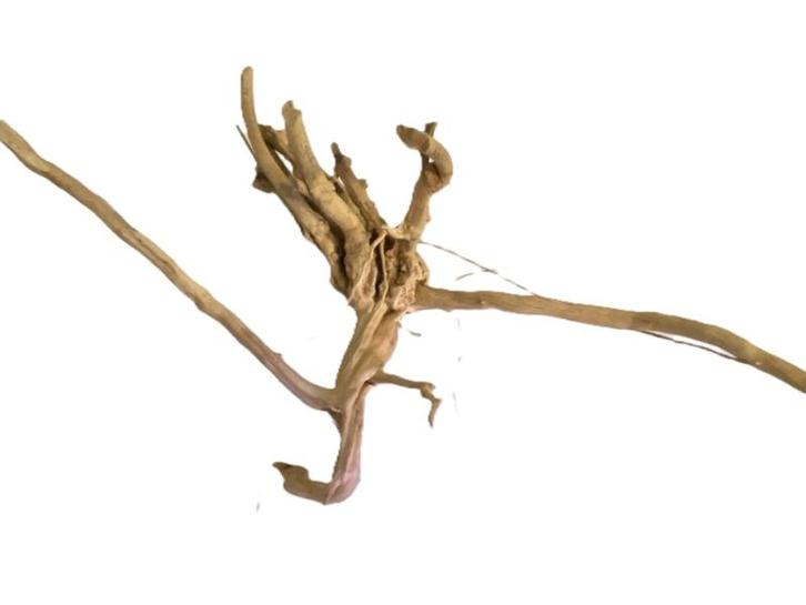 Driftwood Selected DW19 - 55x30x20cm (Small drift wood), Dieren en Toebehoren, Vissen | Aquaria en Toebehoren, Plant(en), Steen of Hout
