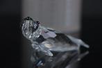 Figure - Swarovski - Zeehond met Grote Snorharen (Boxed +