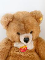 Steiff - Teddybeer XXL Molly Teddy 65 cm - 1980-1990 -