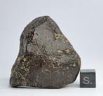 NWA 869 meteoriet L3-6. - 95.77 g