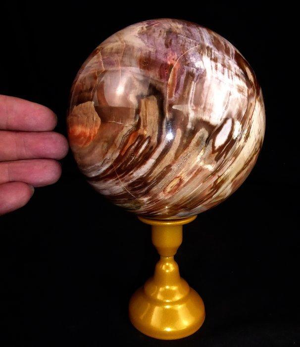 Bal Versteend Hout / ..... inclusief Stand Bol - Hoogte:, Verzamelen, Mineralen en Fossielen