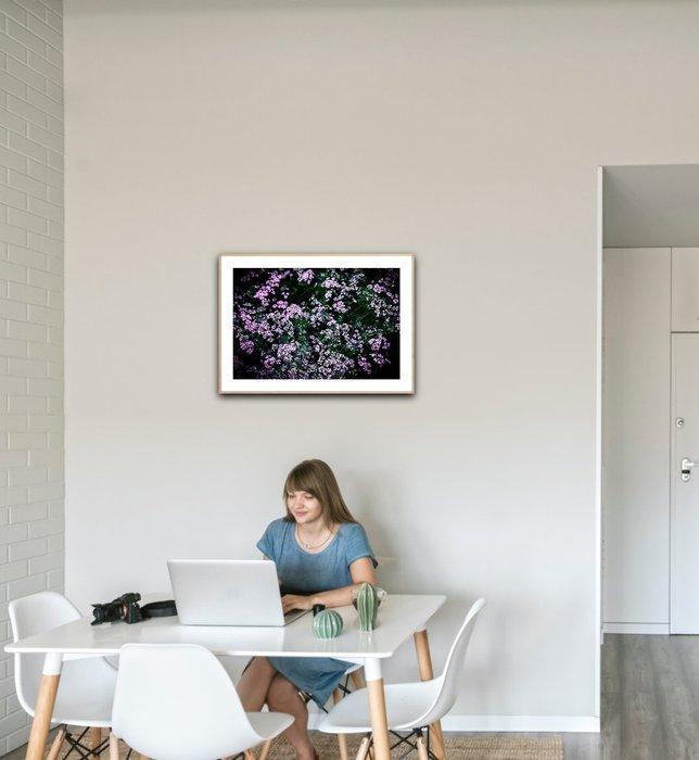 Viet Ha Tran - Night Melody, Antiquités & Art, Art | Objets design