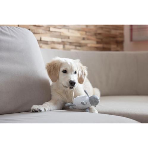 Puppy toy - kerbl, Dieren en Toebehoren, Honden-accessoires, Nieuw