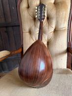 Fratelli Tassinari - 3043 - - Mandoline - France - 1912, Musique & Instruments