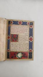 Filippo Alberici - Il manoscritto Arundel 317 - 2022, Antiek en Kunst