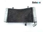 Radiateur Ducati 748, Motoren, Onderdelen | Ducati, Verzenden, Nieuw