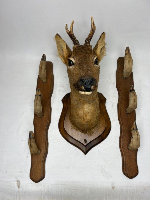 Decoratief ornament - Frankrijk - reebok met geweerdragers, Antiquités & Art, Curiosités & Brocante