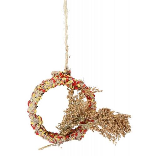 Native snacks - ring met gierst ø 11 cm - kerbl, Dieren en Toebehoren, Vogels | Toebehoren, Nieuw