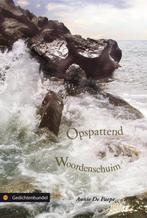 Opspattend Woordenschuim 9789048409945 Annie de Paepe, Verzenden, Zo goed als nieuw, Annie de Paepe