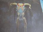 Eagles - Nice Lot with 6 x great albums of The Eagles -, Cd's en Dvd's, Nieuw in verpakking