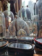 Cloche en verre (7) - Mongeblazen Antiek Glas en Houten Voet, Antiek en Kunst