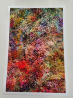 Viet Ha Tran - Wall of Nature LXIV