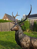Statue, Bronze: XL Deer - 171 cm - Bronze - 2026