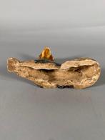 Oud Chinees, Tang-dynastie Terracotta wachthond - 15 cm, Antiek en Kunst