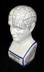 Hoofd ornament - Model Phrenology Hoofd - Dr. L.N.Fowler