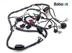 Kabelboom Honda FES 125 Pantheon 2003-2006 (FES125), Motoren, Verzenden, Gebruikt