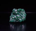 MAGNIFIQUE Dioptase uit Congo – 187,15 karaat Geen, Verzamelen