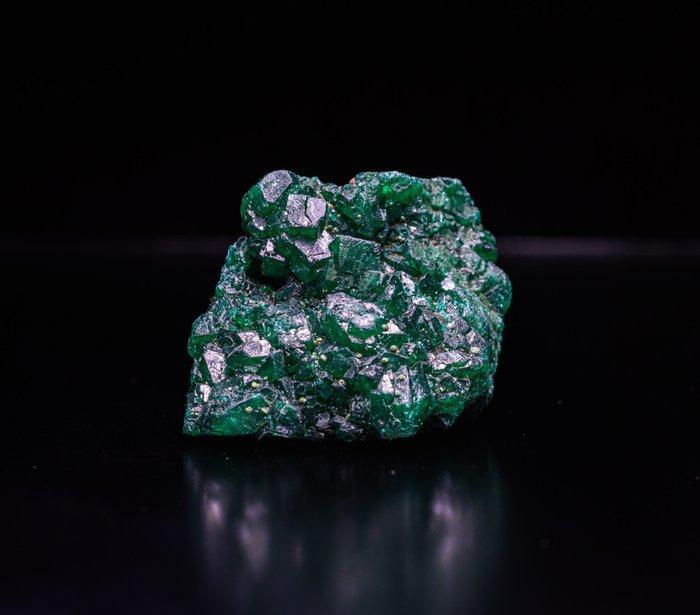 MAGNIFIQUE Dioptase uit Congo – 187,15 karaat Geen, Verzamelen, Mineralen en Fossielen