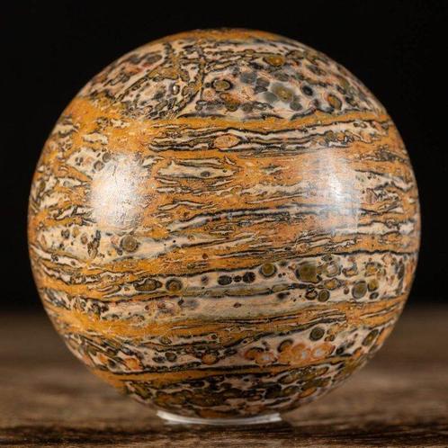 Design naturel incroyable - Design super bandé - Jasper peau, Verzamelen, Dierenverzamelingen
