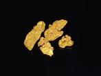De zeldzame gouden parel uit Lapland Goud nuggets- 0.5 g -
