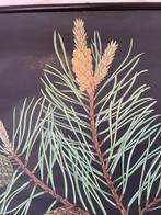 Jung-Koch-Quentell - Lehrmittelverlag Hagemann - Schoolplaat