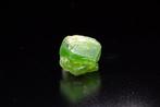 RARISSIME Démantoïde granaat 7,00 ct – Pakistan - Hoogte:, Verzamelen
