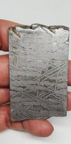 Prachtige meteoriet uit Aletai. Zonder minimumprijs!!! IJzer