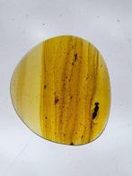 Birmese barnsteen - Barnsteen (Zonder minimumprijs), Verzamelen