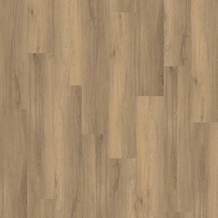 Floorlife / Ambiant Paddington PVC Plak Dryback 9097450319, Doe-het-zelf en Bouw, Vloerdelen en Plavuizen, Ophalen of Verzenden