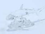 Figure - Swarovski - Baby haai (Boxed) - Cristal