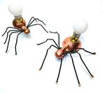 Cabinet de curiosité - Applique murale - Cuivre - Araignées, Antiquités & Art