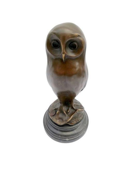 Sculpture, Young owl - 25 cm - Bronze, Marbre, Antiek en Kunst, Curiosa en Brocante