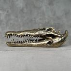 sculptuur, No Reserve Price - Polished Bronze Saltwater