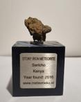 Prachtige Sericho meteoriet op luxe standaard - 31×25×22 mm