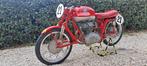 MV Agusta - CSS - Disco Volante - 175 cc - 1955, Motoren