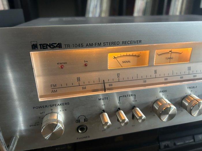 TENSAI - TR-1045 Récepteur stéréo à semi-conducteurs, Audio, Tv en Foto, Radio's