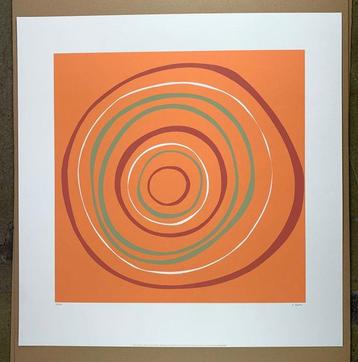 Denise Duplock - Ozone - Screenprint / Siebdruck -