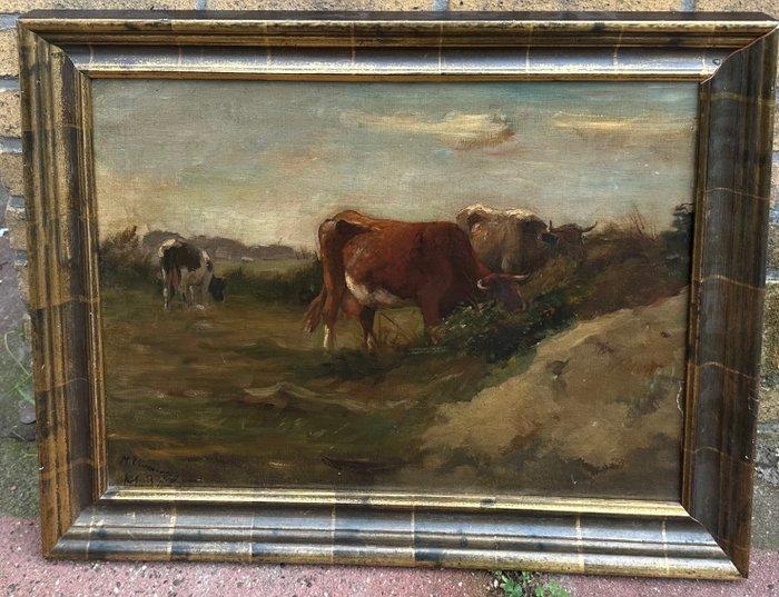 Marinus Vlamings (1846-1903) - Koeien in landschap, Antiek en Kunst, Kunst | Schilderijen | Klassiek