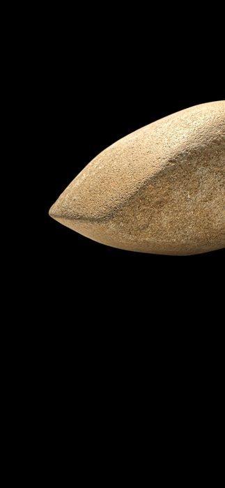 Neolithisch Steen Hache - 12.5 cm (Zonder Minimumprijs) beschikbaar voor biedingen