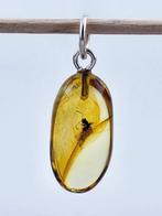 Uitzonderlijke Baltische amber sieraden – zeldzame fossiele, Verzamelen, Nieuw