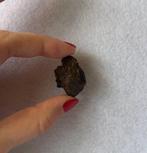 Sericho Pallasite Météorite de pierre-fer - 10.87 g