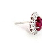 Oorbellen - 18 karaat Witgoud Robijn - Diamant, Nieuw
