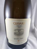 2022 Castello della Sala Cervaro della Sala white - Umbrië -, Verzamelen, Nieuw