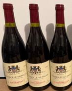 1997 A. Fougères & Co - Chambolle Musigny - 3 Flessen (0.75, Verzamelen, Nieuw