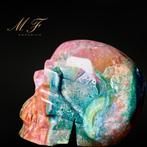 XXL - Zeldzame schedel en natuurlijke oceaanjasper - Premium, Verzamelen