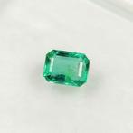 Groen Smaragd  - 1.47 ct - International Gemological, Nieuw