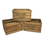 Fruitkisten  Brussel  1968, Huis en Inrichting, Woonaccessoires | Kisten, Minder dan 50 cm, Gebruikt, 50 tot 100 cm, Verzenden